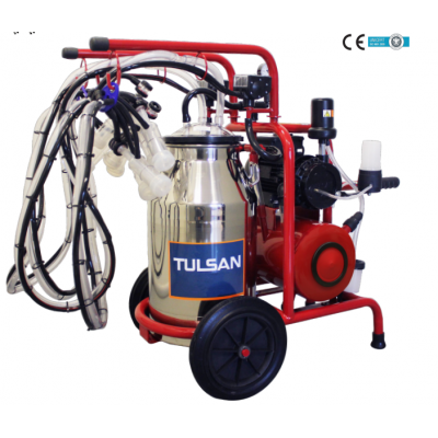 Klasik Tip Dört Sağım(Koyun)